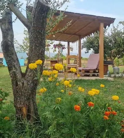 Nocleg ze śniadaniem Ballkan Grilë