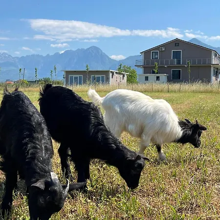 Nocleg ze śniadaniem Ballkan