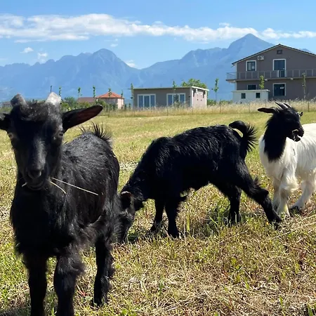 Ballkan Nocleg ze śniadaniem 3*
