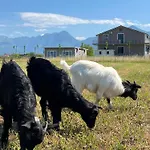 Bed & Breakfast Ballkan